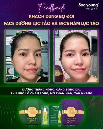Soo Young Green Algae Day & Night Cream Combo Set 9