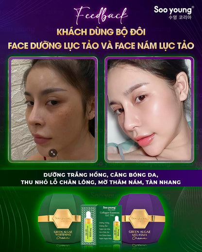 Soo Young Green Algae Day & Night Cream Combo Set 9