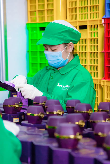 Soo Young Purple Algae Melasma Cream